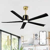60 Inch Smart Ceiling Fan with Light, Silent Reversible DC Motor Ceiling Fans, Black and Gold Ceiling Fans with Lights and Remote Control Indoor, CF02-BGB