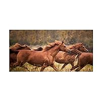 Trademark Fine Art 'Horse Run VI' Canvas Art by PHBurchett 10x19