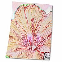 3dRose Photograph of an Orange Hibiscus Flower with Colored Pencil Effect. - Towels (twl-336757-2)