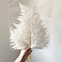 Preserved Real Green Ferns Dried Green Fern Tips Stems Wedding Garlands Home Decorations Bouquets Flower Arrangements Wall Hanging Dried (White)