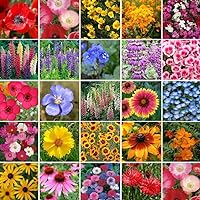 Eden Brothers Pacific Northwest Wildflower Mixed Seeds for Planting, 1/4 lb, 120,000+ Seeds with Cornflower, CA Bluebell | Attracts Pollinators, Plant in Spring or Fall, Zones 3, 4, 5, 6, 7, 8, 9, 10