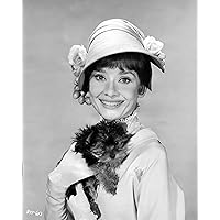 Eddy's Entertainment Audrey Hepburn 1960s Yorkie Puppy 8x10 Silver Halide Archival Quality Reproduction Photo Print