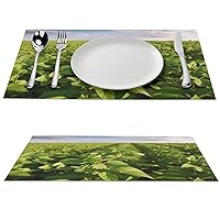 Soybean Field Placemat Washable Place Mats for Dining Heat Resistant PVC Desk Protector Mat Pad Kitchen Wipeable Table Mats for Outdoor Indoor Table Decor 11.8