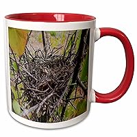 3dRose Rebecca Anne Grant Photography Nature Birds Nest - Empty Bird Nest - Mugs (mug_36698_5)