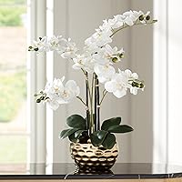 Potted Faux Artificial Flowers Realistic White Phalaenopsis Orchid in Silver Gold Ceramic Pot Home Decoration Living Room Office Bedroom Bathroom Kitchen Dining Room 23