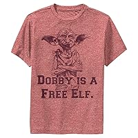 Harry Potter Kids' Dobby Free Elf T-Shirt