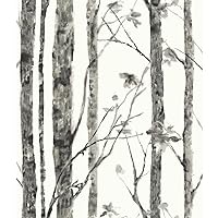 RoomMates RMK11728WP Birch Trees Gray Peel and Stick Wallpaper, White/Grey