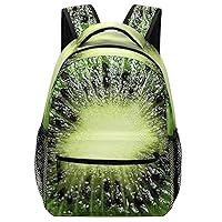 Kiwi Fruit Travel Laptop Backpack Casual Daypack with Mesh Side Pockets for Book Shopping Work