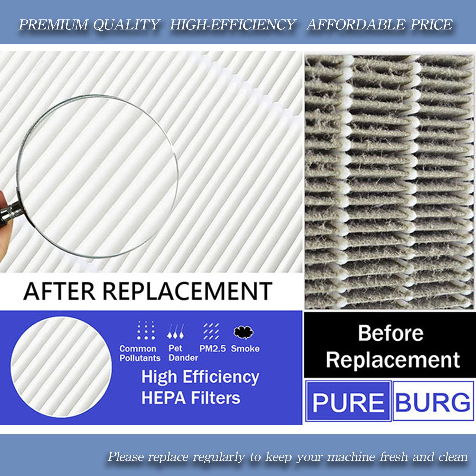 PUREBURG Replacement True HEPA Filter Set Compatible with Hunter HP800 Multi Room Large Console Air Purifier, Part Number H-HF800-VP H-PF800,H13 Activated carbon Pre-Filter Air Clean Dust VOCs