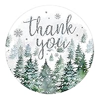Baby It's Cold Outside Winter Baby Shower Thank You Card Stickers, Party Favor Bag Labels - 40 Count