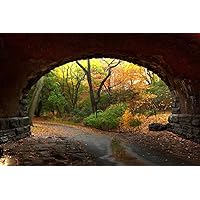 Through the Tunnel Autumn in Central Park NYC Photo Photograph Cool Wall Decor Art Print Poster 36x24