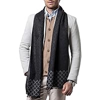 Shubb Men's Fashion Scarves for Winter Cashmere Feel Scarf for Men 70.8 * 11.8 IN