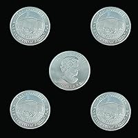5PCS 2015 North America Bison Commemorative Silver Coins 1OZ Collectibles for Business Gifts