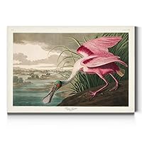 Renditions Gallery Roseate Spoonbill by John James Audubon, Classic Bird Wall Art, Bright and Colorful, Premium Gallery Wrapped Canvas Decor, Ready to Hang, 18 in H x 27 in W, Made in America Print