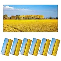 6 Pack Fluorescent Light Covers for Ceiling Lights Field Color Padan Plain Rice Ripe Landscape Scenery Rice Plant Magnetic Light Filters Diffuser Shade for Classroom Home Office School