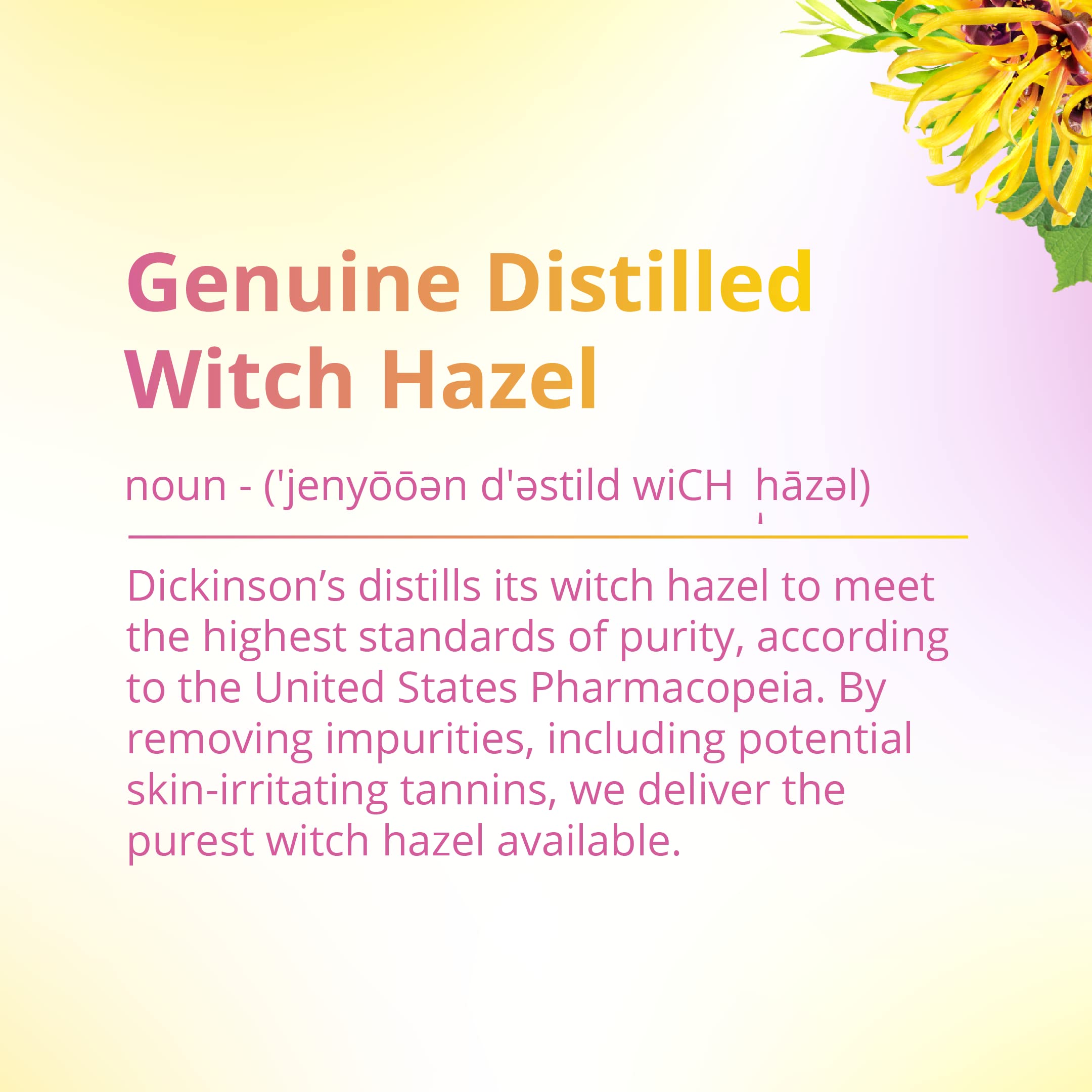 Dickinson's Witch Hazel Brightening Toner + Serum with Grapefruit