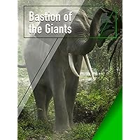 Bastion of the Giants