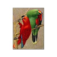 Parrot Art Poster 1961 Red And Green Eclectic Parrot Bird Art Wall Painting Art Deco Canvas Painting Posters And Prints Wall Art Pictures for Living Room Bedroom Decor 12x16inch(30x40cm) Frame-style