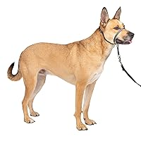 PetSafe Gentle Leader No-Pull Dog Headcollar - The Ultimate Solution to Pulling - Redirects Your Dog's Pulling for Easier Walks - Helps You Regain Control - Medium, Charcoal