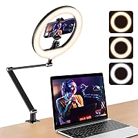 USB 10' Ring Light for Desk with Stand and Phone Holder, Ring Light with Overhead Camera Mount and Adjustable Desk Arm Stand for Photography,Makeup, Zoom Calls, YouTube Videos（Black）