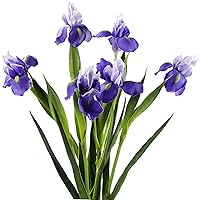 FiveSeasonStuff Iris Flower | Flowers Artificial for Decoration | Wedding Bridal Home Kitchen Party Décor | 6 Real Touch Long Stems (23.6’’) | Real Looking Flower Arrangements | Violet Purple