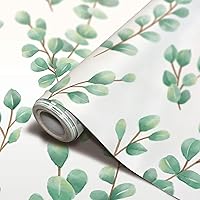 Teacher Created Resources Eucalyptus Peel and Stick Decorative Paper (TCR70008) 17-1/2 inches x 10 feet
