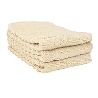 Ritz Royale Collection 100% Combed Terry Cotton, Highly Absorbent, Kitchen Dish Cloth Set, 13-3/4