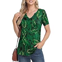 BISHUIGE Women's 2024 Summer Short Sleeve Tunic Tops Casual Loose V Neck Comfy T-shirts Blouse For Leggings