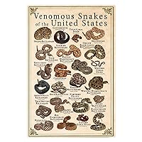JIUFOTK Types Of Venomous Snakes Metal Tin Signs Venomous Snakes Of The United States Posters Educational Knowledge For Children Plaques Home Classroom Study Science Wall Decor 8x12 Inches