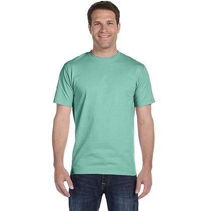 Hanes mens 5180 fashion t shirts, Clean Mint, XX-Large US