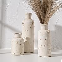 Ceramic Rustic Farmhouse Vase Set of 3, Whitewashed Terracotta Vase, Pottery Vase,Clay Decorative Vases for Home Decor, Living Room, Shelf, Mantel Decoration(Rustic White)