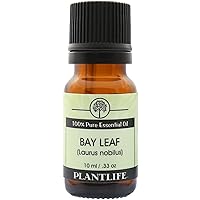 Plantlife Bay Leaf Aromatherapy Essential Oil - Straight from The Plant 100% Pure Therapeutic Grade - No Additives or Fillers - 10 ml