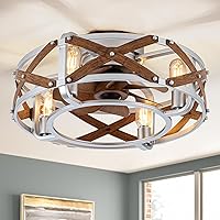 EKIZNSN Silver Enclosed Ceiling Fans with Lights Flush Mount, 20'' Caged Modern Low Profile Ceiling Fan (5*E26 Bulb Include)