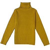 Little Baby Turtleneck Long Sleeve Sweater Basic Solid Fine Knit Warm Sweatshirt Pullover Base Tops