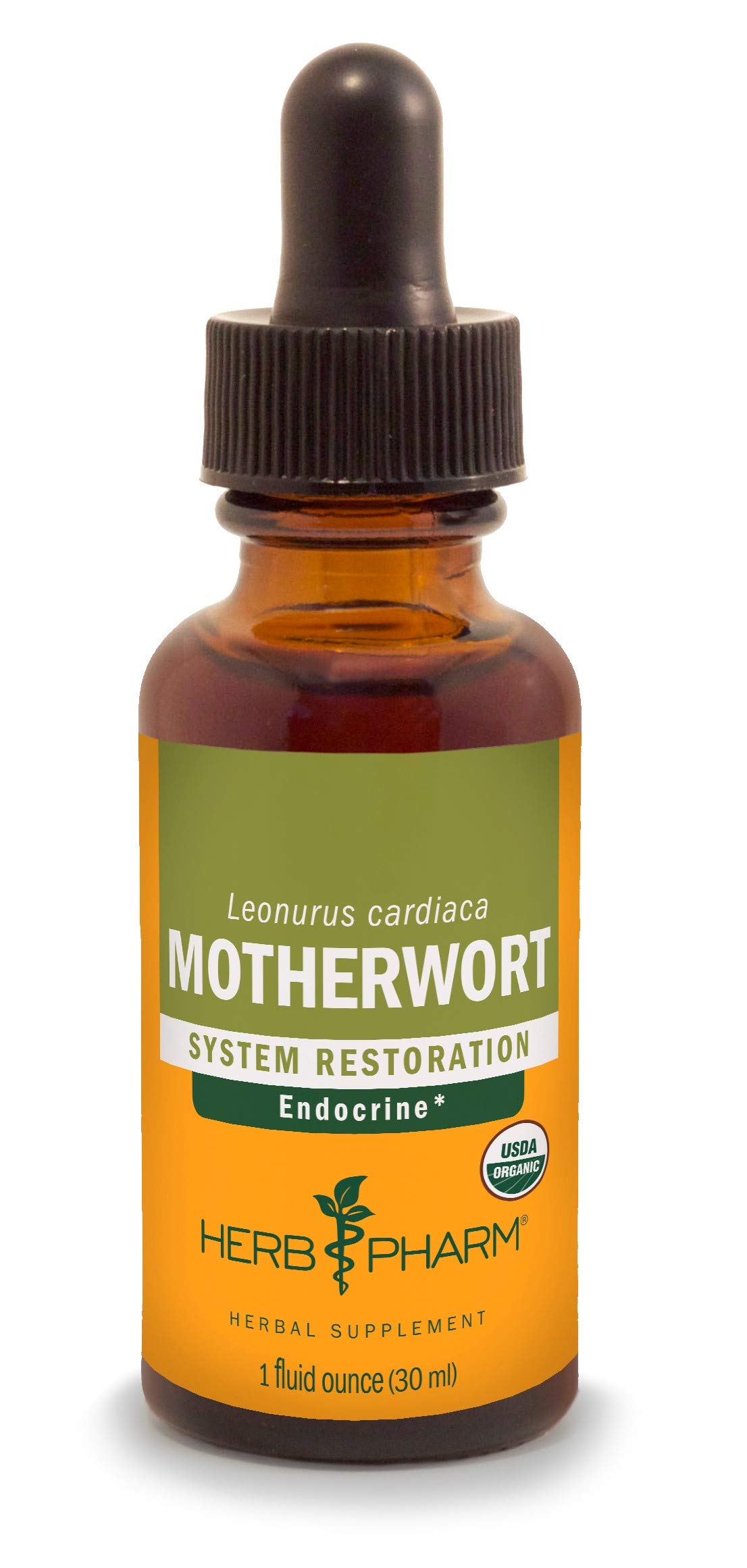 Herb Pharm Certified Organic Motherwort Liquid Extract for Endocrine System Support - 1 Ounce