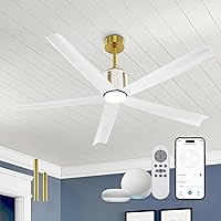 White Ceiling Fans with Lights, 60 Inch Ceiling Fan with Quiet Reversible DC Motor, 5 ABS Blades Gold Ceiling Fans with Lights and Remote for Indoor Living Room Hall Patio, CF02-BGW