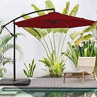 BLUU BANYAN 10 FT Patio Offset Umbrella Outdoor Cantilever Umbrella Hanging Umbrellas, 24 Month Fade Resistance & Water-repellent UV Protection Solution-dyed Fabric Canopy with Infinite Tilt, Crank &