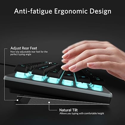 Fiodio Membrane Gaming Keyboard, Wired RGB Rainbow Backlit Keyboard, Ergonomic Standard Keyboard for Desktop, Computer and PC