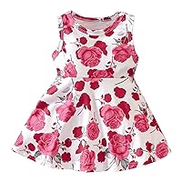 Toddler Kids Baby Girls Summer Casual Sleeveless Round Neck Floral Dress Party Dress Clothes Perfect