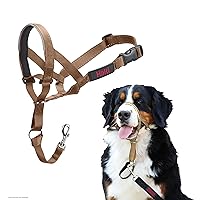 HALTI Headcollar - to Stop Your Dog Pulling on The Leash. Adjustable, Reflective and Lightweight, with Padded Nose Band. Dog Training Anti-Pull Collar for Large Dogs (Size 4, Desert Sand)