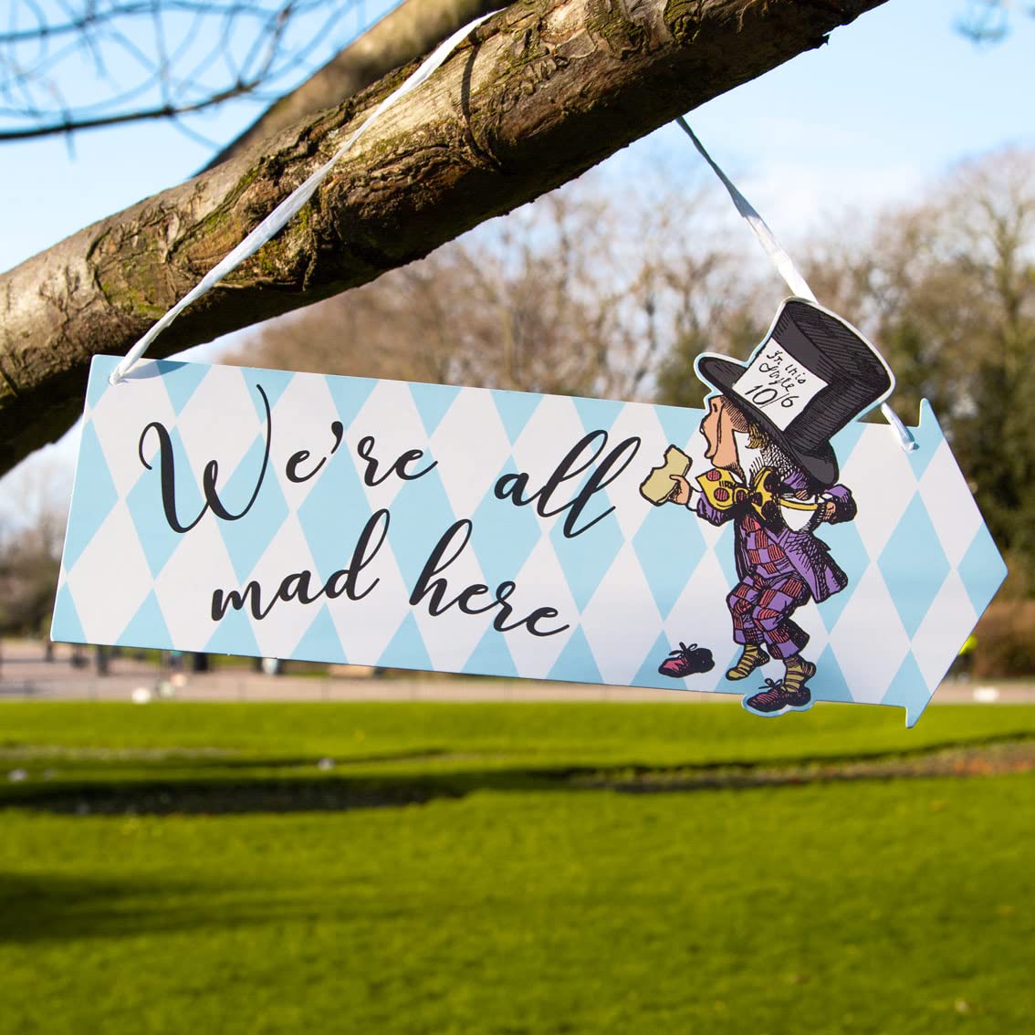 Talking Tables Pack of 12 Alice in Wonderland Party Decorations | Arrow Signs for Mad Hatters Tea Party with Quotes and Characters from Book