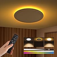 12 Inch LED Flush Mount Ceiling Light Fixture with Night Light, 22W 2400LM 2700K/3000K/3500K/4000K/5000K Selectable, Dimmable Ceiling Lights for Bedroom（Remote Control ）