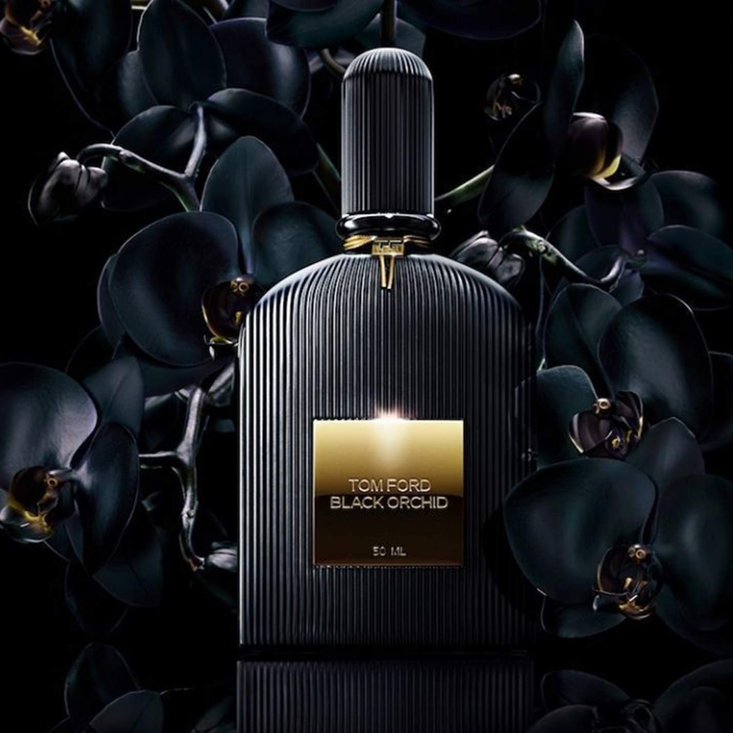 Mua New Version - Eau De Parfum for Tom Ford Black Orchid  Oz trên  Amazon Mỹ chính hãng 2023 | Giaonhan247