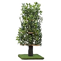 On2 Pets Cat Tree with Leaves Made in USA, Cat House & Cat Activity Tree, Multi-Level Cat Condo for Indoor Cats