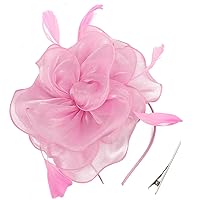 DRESHOW Fascinators Hat Tea Party Headwear Ribbons Feathers on a Headband and a Clip for Girls and Women