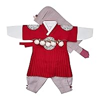 Boy Baby Hanbok Korea Traditional Clothing Set Dol First Birthday Red Prince 1-8 Ages hjb03