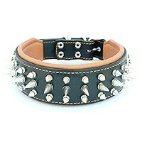 Genuine Leather Dog Collar with Screw Spikes and Soft Leather Cushion. Wide. Durable. Longlasting. Padded. Pitbull. Bulldog. Bully. APBT. Rottweiler. Cane Corso. Handmade in Europe!