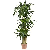 Nearly Natural 62IN Artificial Corn Stalk Dracaena Plant, Tall Fake Plant for Indoor Home Décor, Real Touch Faux Plant