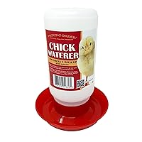 Chick Waterer, Red