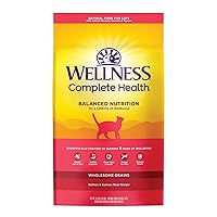 Wellness Complete Health Natural Dry Cat Food with Wholesome Grains, Made in USA with Real Meat (Adult Cat, Salmon Recipe, 10 Pound (Pack of 1)